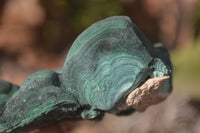 Natural Botryoidal Malachite Specimens  x 2 From Kolwezi, Congo