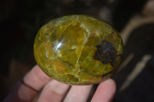 Polished Green Opal Palm Stones  x 12 From Madagascar - Toprock Gemstones and Minerals 