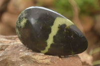 Polished Leopard Stone Free Forms  x 6 From Zimbabwe