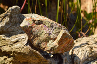 Natural Rough Stichtite (Atlantisite) Specimens  x 6 From Barberton, South Africa - TopRock