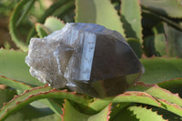 Natural Large Smokey Quartz Crystal x 1 From Malawi