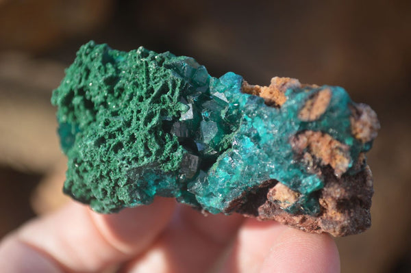 Natural Classic Emerald Dioptase Crystal Specimens  x 2 From Likasi, Congo