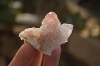 Natural Pale Amethyst Spirit Quartz Clusters x 20 From Boekenhouthoek, South Africa