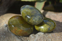 Polished Green Opal Palm Stones  x 12 From Madagascar - Toprock Gemstones and Minerals 