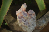 Natural Sugar Amethyst Clusters  x 6 From Zambia - Toprock Gemstones and Minerals 