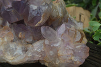 Natural Jacaranda Amethyst Cluster x 1 From Mumbwa, Zambia - TopRock