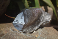 Natural Large Smokey Quartz Crystal x 1 From Malawi