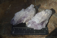 Natural Sugar Amethyst Crystal Clusters  x 24 From Zambia - Toprock Gemstones and Minerals 