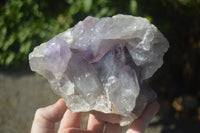 Natural Jacaranda Amethyst Clusters  x 2 From Zambia - Toprock Gemstones and Minerals 