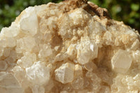 Natural Fairly Large Quartz Cluster Display Piece x 1 From Madagascar - TopRock