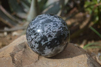 Polished Gabbro Merlinite Spheres  x 2 From Ambatondrazaka, Madagascar