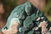 Natural Botryoidal Malachite Specimens  x 2 From Kolwezi, Congo