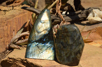 Polished Labradorite Standing Free Forms With Intense Blue & Gold Flash x 2 From Sakoany, Madagascar - TopRock