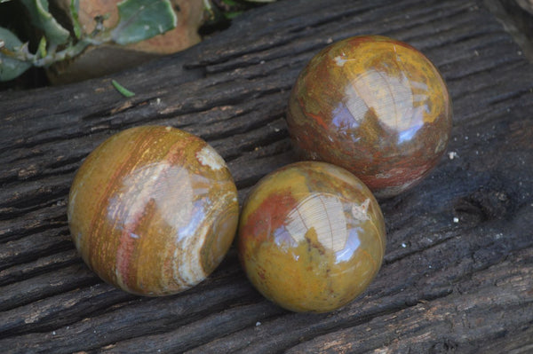 Polished Lovely Selection Of Ocean Jasper Spheres  x 3 From Madagascar