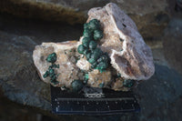 Natural Rare Ball Malachite On Drusy Quartz & Dolomite Matrix  x 1 From Congo - Toprock Gemstones and Minerals 