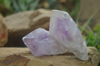 Natural Jacaranda Amethyst Clusters  x 12 From Zambia - Toprock Gemstones and Minerals 