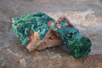 Natural Classic Emerald Dioptase Crystal Specimens  x 2 From Likasi, Congo