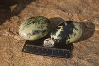 Polished Leopard Stone Palm Stones  x 12 From Zimbabwe