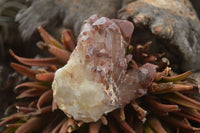 Natural Red Hematoid Quartz Specimens x 12 From Karoi, Zimbabwe - TopRock