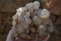 Natural Cascading Smokey Phantom Quartz Clusters x 2 From Luena, Congo