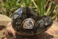 Polished Septerye Sauvage "Dragons Egg" x 1 From Mahajanga, Madagascar - TopRock