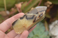 Polished Septaria (Yellow Calcite & Aragonite) Points x 2 From Mahajanga, Madagascar - TopRock