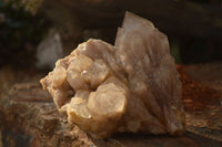 Natural Cascading Smokey Quartz Cluster  x 1 From Luena, Congo