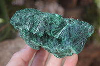 Natural Chatoyant Silky Malachite Specimens  x 3 From Kasompe, Congo