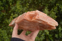 Natural Extra Large Sunset Orange Calcite Specimen x 1 From Spitzkop, Namibia