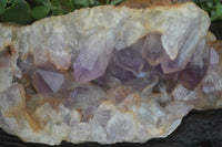 Natural Jacaranda Amethyst Cluster x 1 From Mumbwa, Zambia - TopRock