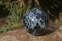 Polished Gabbro Merlinite Spheres  x 2 From Ambatondrazaka, Madagascar