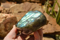 Polished Labradorite Standing Free Forms With Blue & Gold Flash  x 2 From Tulear, Madagascar - TopRock