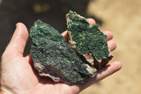 Natural Crystalline Micro Botryoidal Malachite Specimens  x 6 From Tenke Fungurume, Congo - TopRock