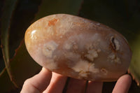 Polished  Ocean Flower Agate Standing Free Forms  x 3 From Madagascar