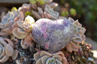 Polished Purple Lepidolite Mica Hearts  x 6 From Madagascar - TopRock