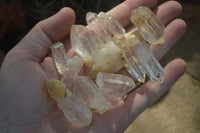 Natural Single Clear Quartz Crystals  x 1.9 Kg Lot From Zimbabwe - Toprock Gemstones and Minerals 