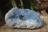 Natural Blue Celestite Geode Specimen  x 1 From Sakoany, Madagascar