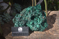 Natural Chatoyant Silky Malachite Specimen x 1 From Congo - Toprock Gemstones and Minerals 