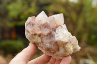 Natural Drusi Coated Spirit Cactus Quartz Clusters  x 4 From Boekenhouthoek, South Africa - TopRock