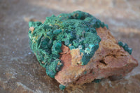 Natural Classic Emerald Dioptase Crystal Specimens  x 2 From Likasi, Congo