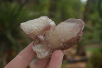 Natural Red Hematite Phantom Quartz Crystals  x 12 From Karoi, Zimbabwe - TopRock