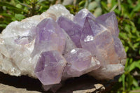 Natural Zambian Amethyst Crystal Clusters x 2 From Mumbwe, Zambia - TopRock