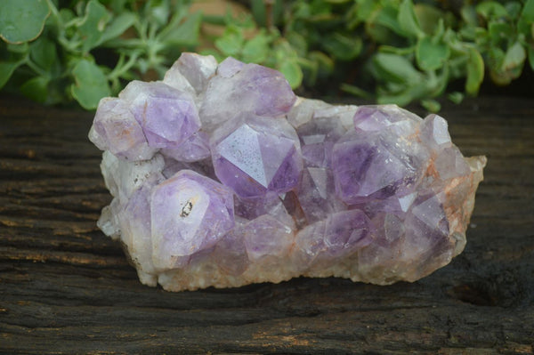 Natural Jacaranda Amethyst Cluster x 1 From Mumbwa, Zambia - TopRock