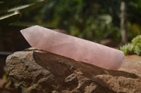 Polished Double Terminated Pink Rose Quartz Points  x 4 From Ambatondrazaka, Madagascar - TopRock