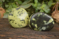 Polished Leopard Stone Free Forms  x 6 From Zimbabwe