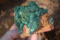 Natural Classic Emerald Dioptase Crystal Specimens  x 2 From Likasi, Congo