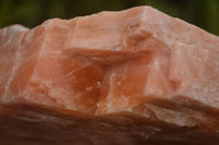 Natural Extra Large Sunset Orange Calcite Specimen x 1 From Spitzkop, Namibia