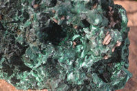 Natural Chatoyant Silky Malachite Specimen x 1 From Congo - Toprock Gemstones and Minerals 