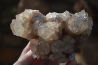 Natural Cascading Smokey Phantom Quartz Clusters x 2 From Luena, Congo