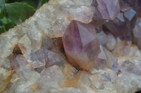 Natural Jacaranda Amethyst Cluster x 1 From Mumbwa, Zambia - TopRock